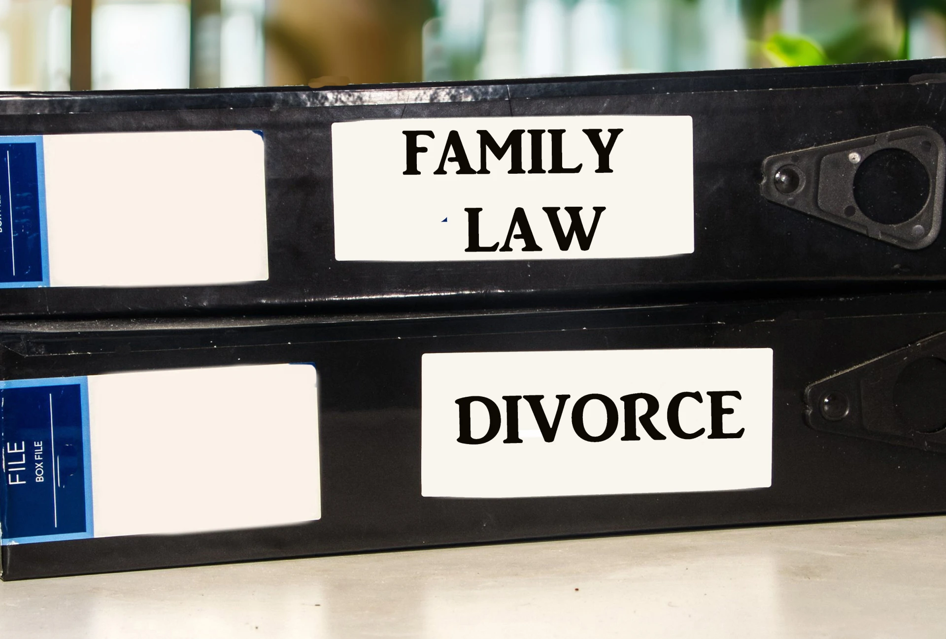 Legal folders labeled family law